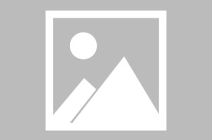 万博manbetx手机版登录入口-雷霆森林狼最新伤停最新消息